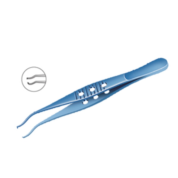 Forceps Superior Rectus Toothed MF 117