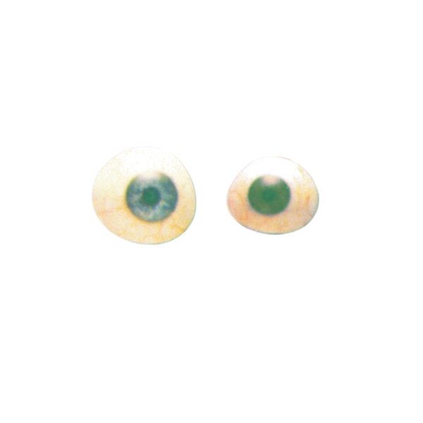 Medelec Artificial Eyes Assorted Sizes Box Of 50 MI 3039