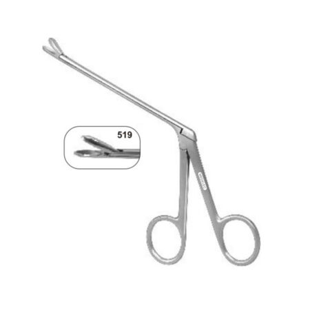 519 ST BARTHOLOMEWS Punch Straight