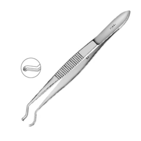 Dastoor Superior Rectus Forceps 1x2 Teeth MI 708